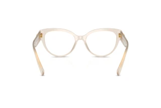 Achteraanzicht Dolce & Gabbana DG3440 (3420)