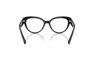 Achteraanzicht Dolce & Gabbana DG3440 (501)
