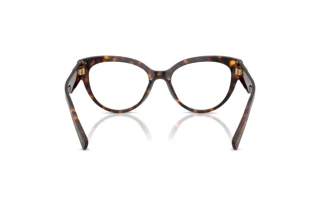 Achteraanzicht Dolce & Gabbana DG3440 (502)