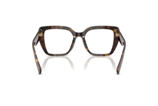 Achteraanzicht Dolce & Gabbana DG3441 (502)