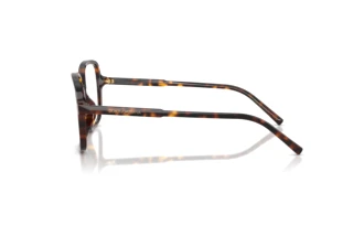 Zijaanzicht Dolce & Gabbana DG3442 (502)