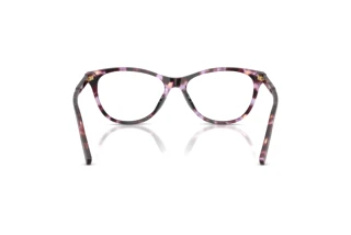 Achteraanzicht Dolce & Gabbana DG3443 (3477)