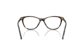 Achteraanzicht Dolce & Gabbana DG3443 (3478)