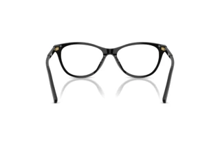 Achteraanzicht Dolce & Gabbana DG3443 (501)