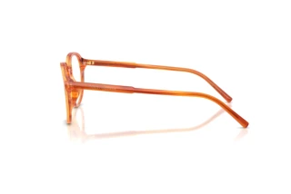 Zijaanzicht Dolce & Gabbana DG3444 (3483)
