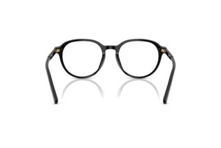 Achteraanzicht Dolce & Gabbana DG3444 (501)