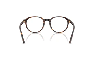 Achteraanzicht Dolce & Gabbana DG3444 (502)