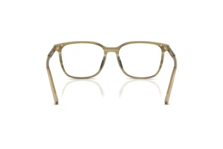 Achteraanzicht Dolce & Gabbana DG3445 (3480)