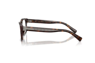 Zijaanzicht Dolce & Gabbana DG3446 (502)