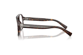 Zijaanzicht Dolce & Gabbana DG3447 (502)