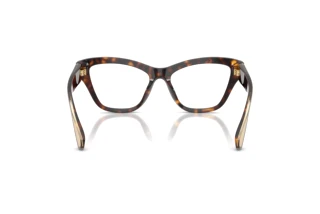Achteraanzicht Dolce & Gabbana DG3448 (502)