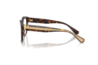 Zijaanzicht Dolce & Gabbana DG3449 (502)