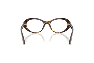 Achteraanzicht Dolce & Gabbana DG3450 (502)