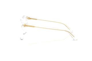 Zijaanzicht Dolce & Gabbana DG3451 (3133)