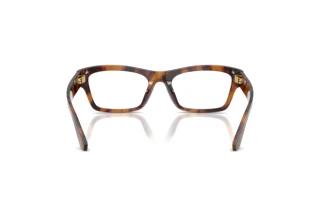 Achteraanzicht Dolce & Gabbana DG3454 (3497)