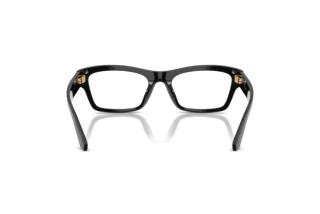 Achteraanzicht Dolce & Gabbana DG3454 (501)