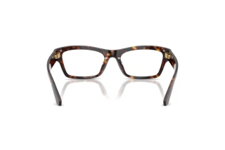 Achteraanzicht Dolce & Gabbana DG3454 (502)
