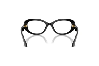 Achteraanzicht Dolce & Gabbana DG3455 (501)