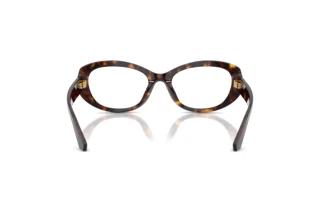 Achteraanzicht Dolce & Gabbana DG3455 (502)