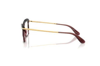 Zijaanzicht Dolce & Gabbana DG5025 (3045)