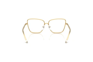 Achteraanzicht Dolce & Gabbana DX1102 (02)