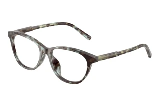 Vooraanzicht Dolce & Gabbana DX3002 (3443)
