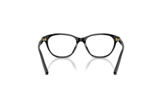 Achteraanzicht Dolce & Gabbana DX3002 (501)