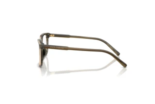 Zijaanzicht Dolce & Gabbana DX3003 (3480)