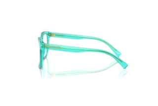 Zijaanzicht Dolce & Gabbana DX3356 (3322)