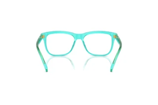 Achteraanzicht Dolce & Gabbana DX3356 (3322)