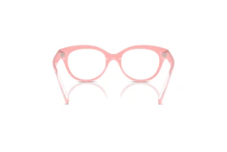 Achteraanzicht Dolce & Gabbana DX5003 (3098)