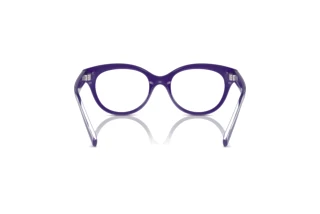 Achteraanzicht Dolce & Gabbana DX5003 (3335)