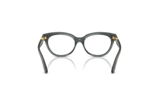 Achteraanzicht Dolce & Gabbana DX5005U (3241)