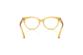 Achteraanzicht Dolce & Gabbana DX5005U (3455)