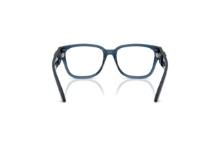 Achteraanzicht Dolce & Gabbana DX5006 (3009)