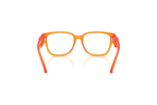 Achteraanzicht Dolce & Gabbana DX5006 (3388)