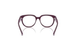Achteraanzicht Dolce & Gabbana DX5007 (3360)