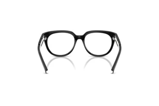 Achteraanzicht Dolce & Gabbana DX5007 (501)