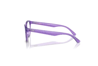 Zijaanzicht Dolce & Gabbana DX5096 (3353)