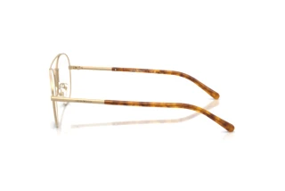 Zijaanzicht Emporio Armani EA1178 (3002)