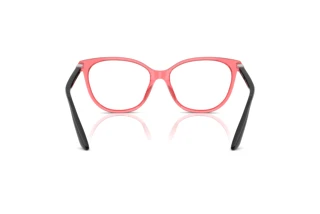 Achteraanzicht Emporio Armani EA3249U (6198)