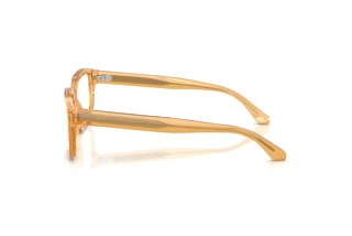 Zijaanzicht Emporio Armani EA3255 (6246)
