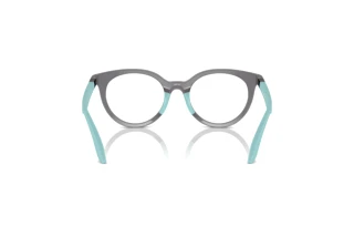 Achteraanzicht Emporio Armani EK3007 (6134)