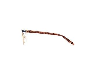Zijaanzicht Fossil FOS 7041 (FLL)