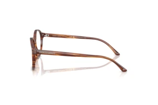 Zijaanzicht Giorgio Armani AR7004 (6162)