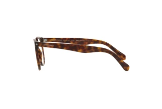 Zijaanzicht Giorgio Armani AR7214 (5879)