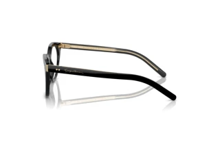 Zijaanzicht Giorgio Armani AR7251 (5875)