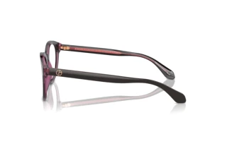 Zijaanzicht Giorgio Armani AR7256 (6088)