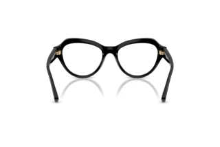 Achteraanzicht Jimmy Choo JC1002HU (5000)
