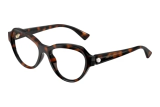 Vooraanzicht Jimmy Choo JC1002HU (5002)